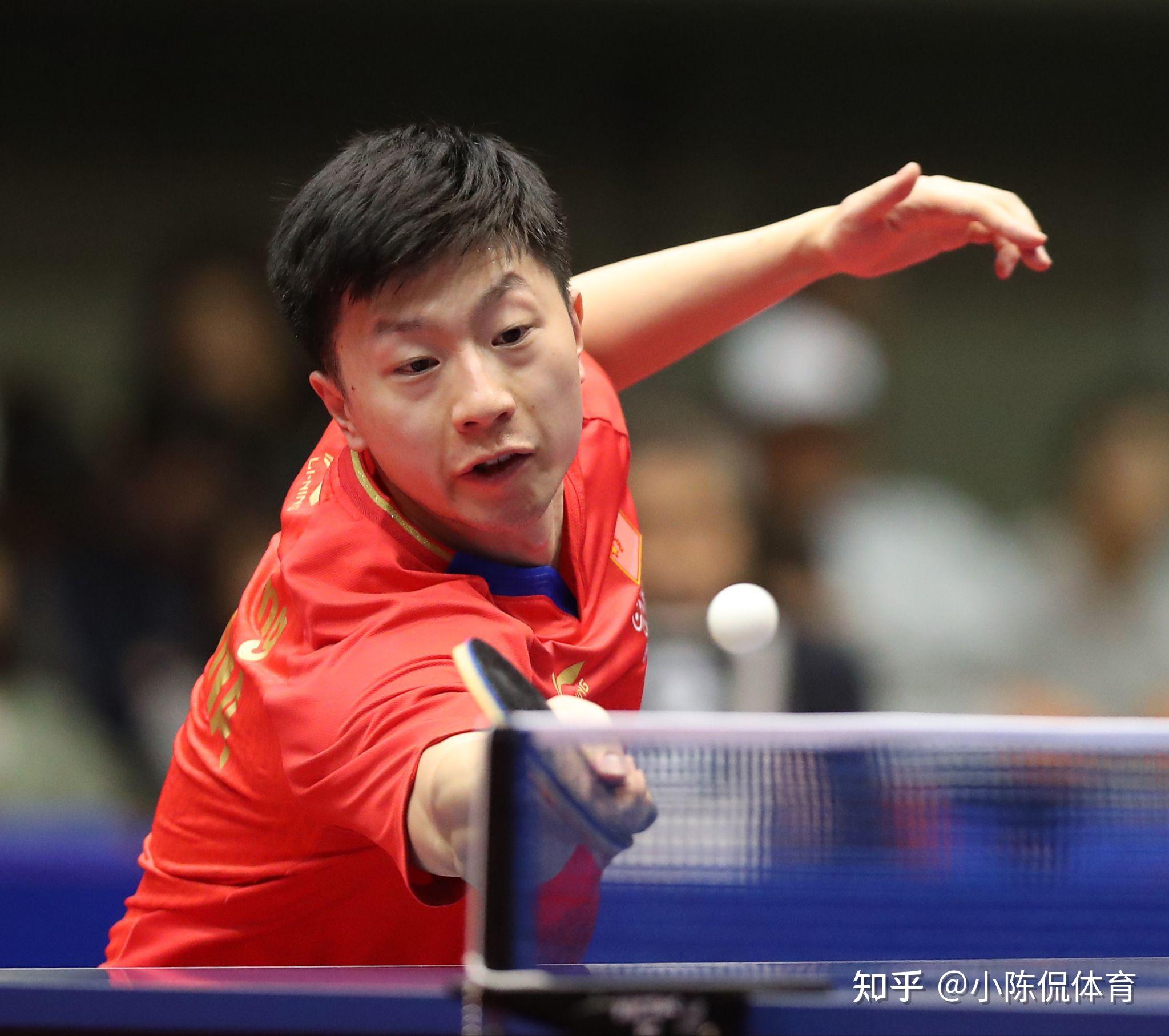 仅展示了罗 仅展示了罗