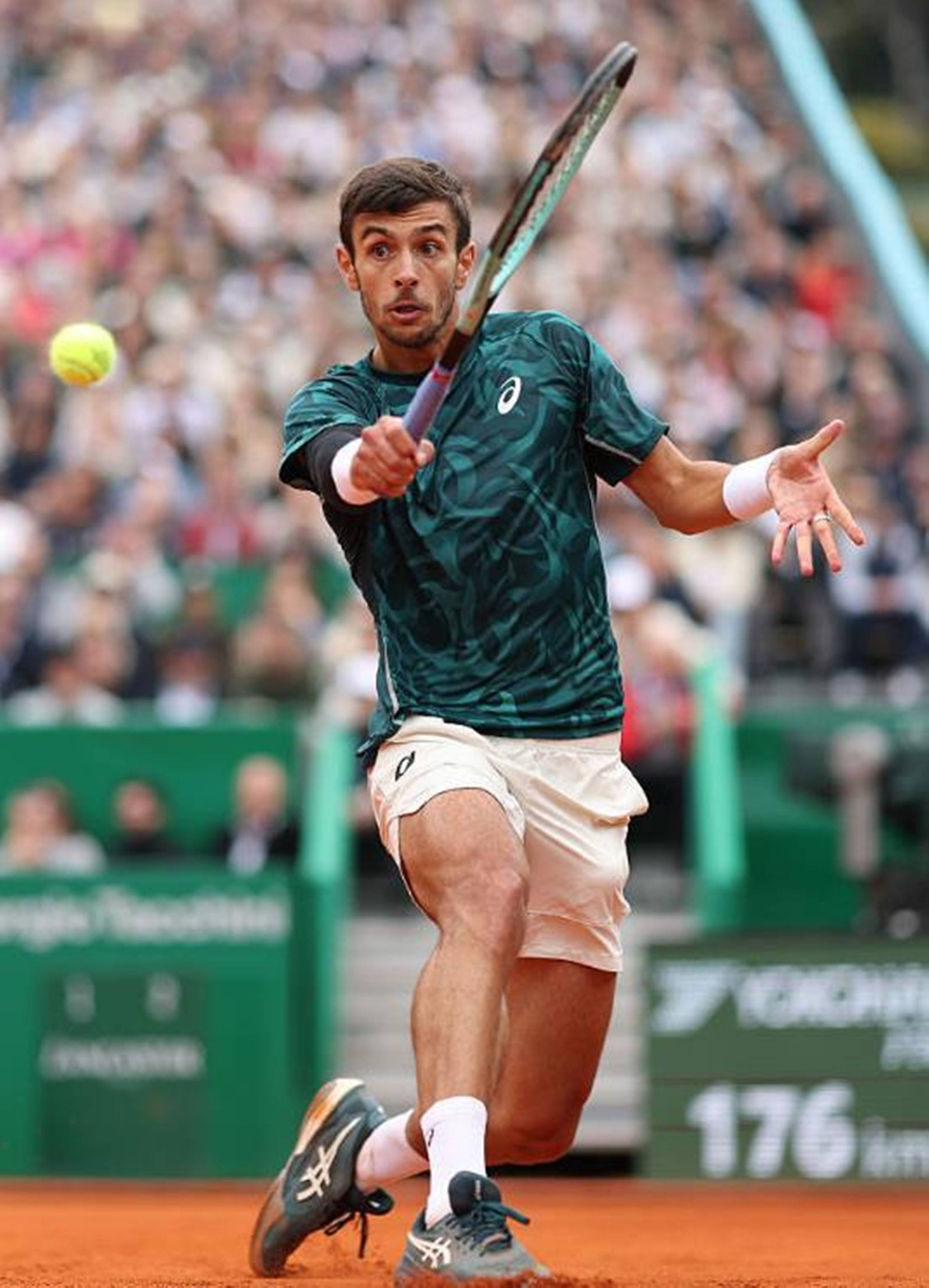 再次证明了 再次证明了