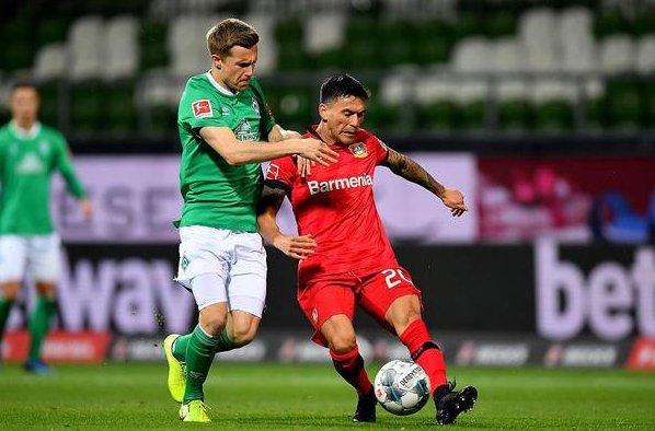 的新势力 的新势力