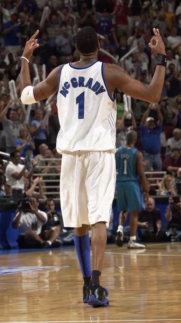 与三角草丛 与三角草丛